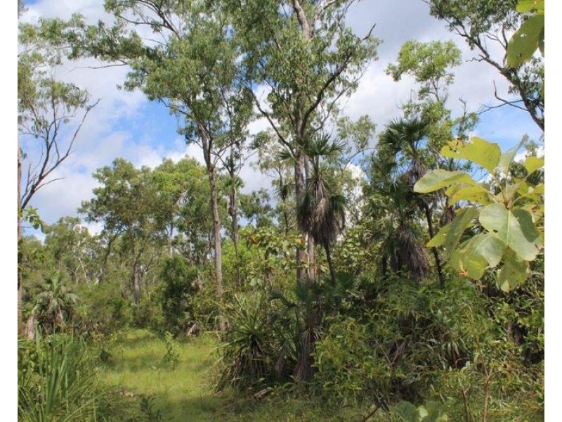 Lot 3004,  Threadfin Road, Dundee Downs NT 0840