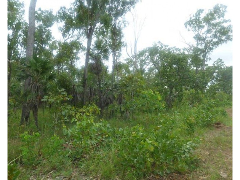 Lot 3004,  Threadfin Road, Dundee Downs NT 0840