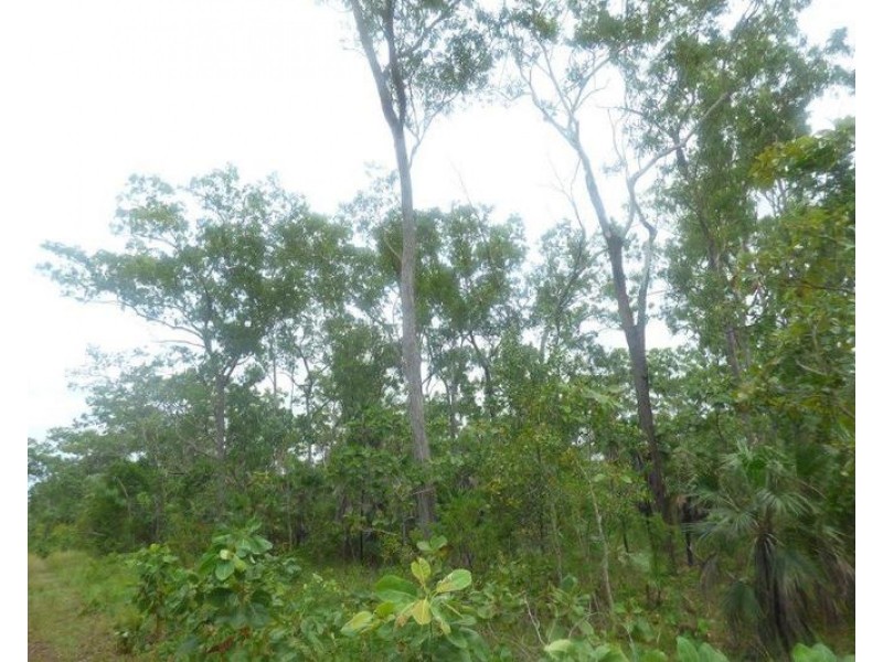 Lot 3004,  Threadfin Road, Dundee Downs NT 0840