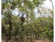 155 Serrata Road, Dundee Downs NT 0840