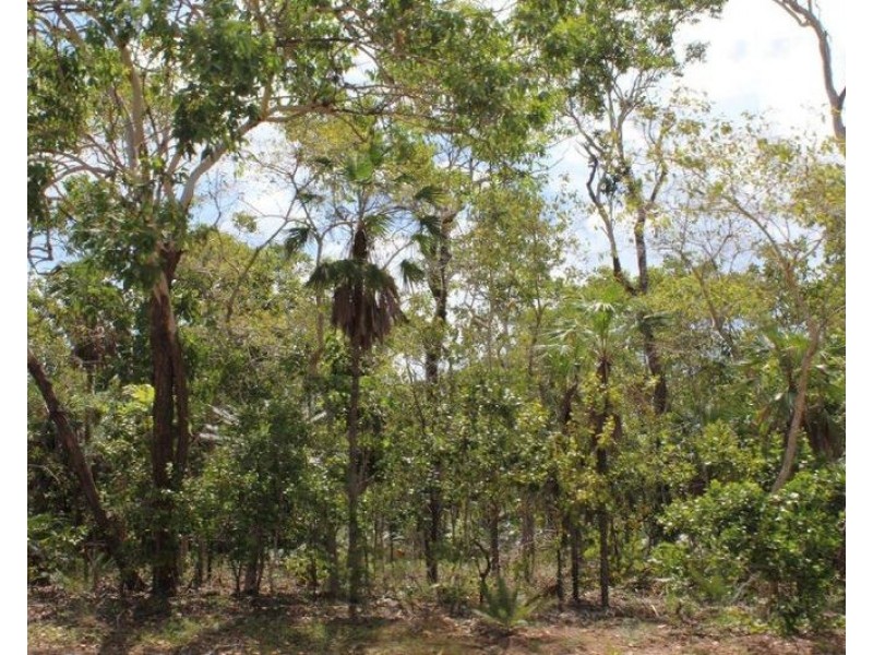 155 Serrata Road, Dundee Downs NT 0840