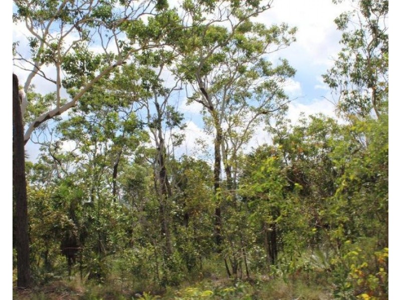 155 Serrata Road, Dundee Downs NT 0840