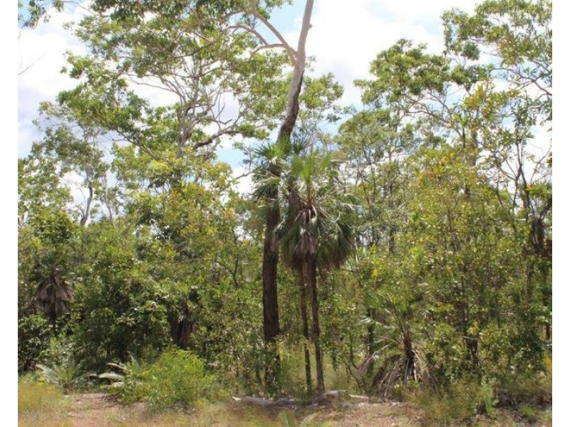 155 Serrata Road, Dundee Downs NT 0840