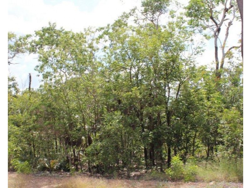155 Serrata Road, Dundee Downs NT 0840