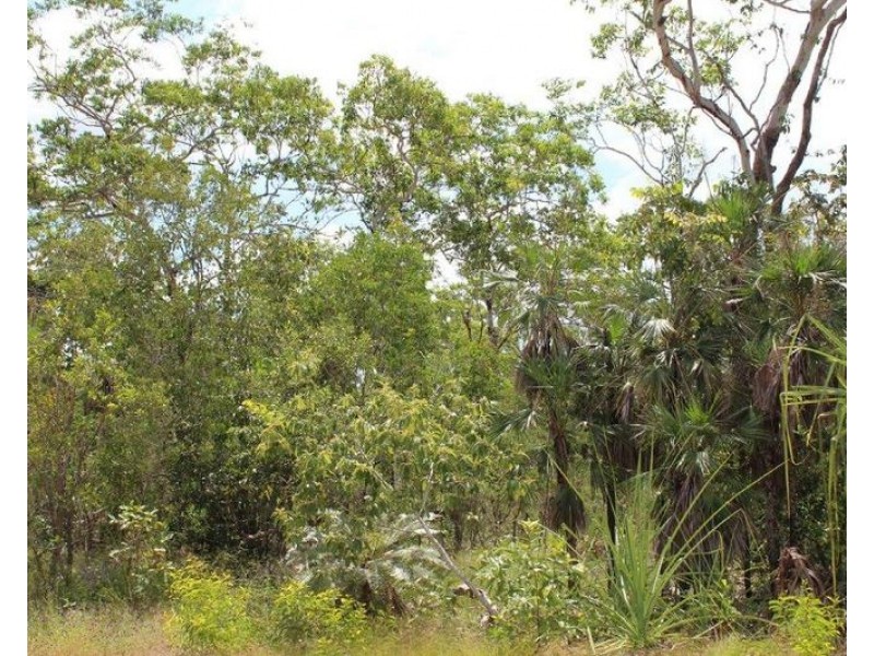 155 Serrata Road, Dundee Downs NT 0840
