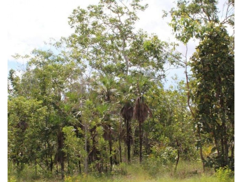 155 Serrata Road, Dundee Downs NT 0840