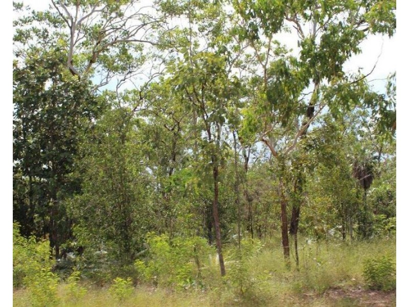 155 Serrata Road, Dundee Downs NT 0840