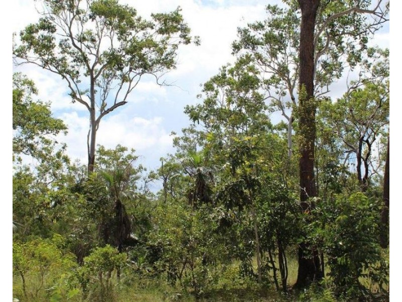 155 Serrata Road, Dundee Downs NT 0840