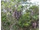 155 Serrata Road, Dundee Downs NT 0840