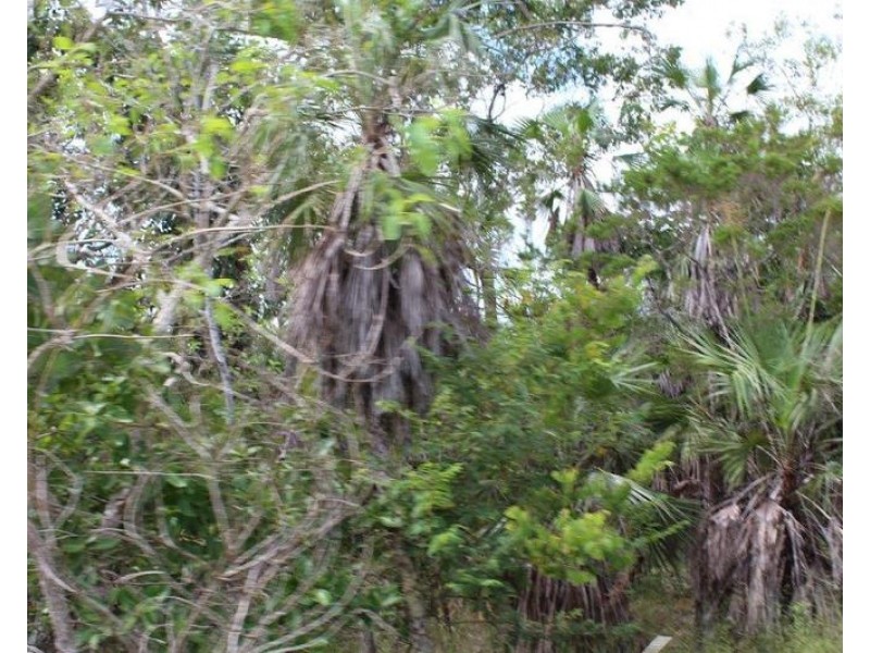 155 Serrata Road, Dundee Downs NT 0840