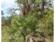 155 Serrata Road, Dundee Downs NT 0840