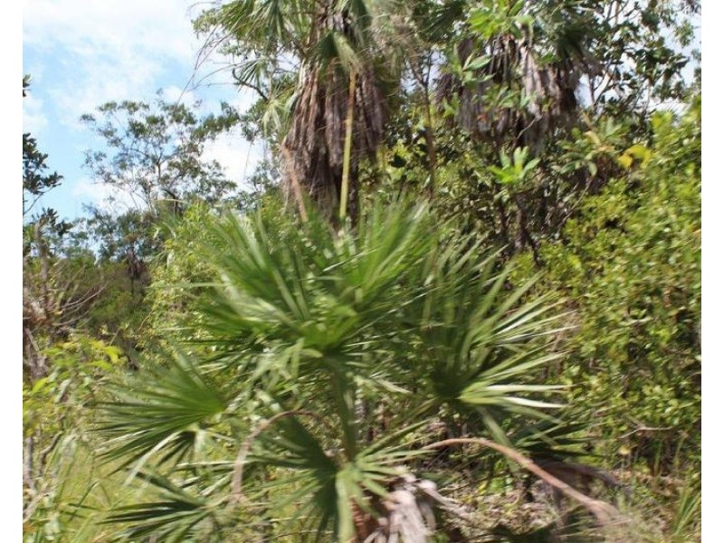 155 Serrata Road, Dundee Downs NT 0840