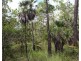 155 Serrata Road, Dundee Downs NT 0840