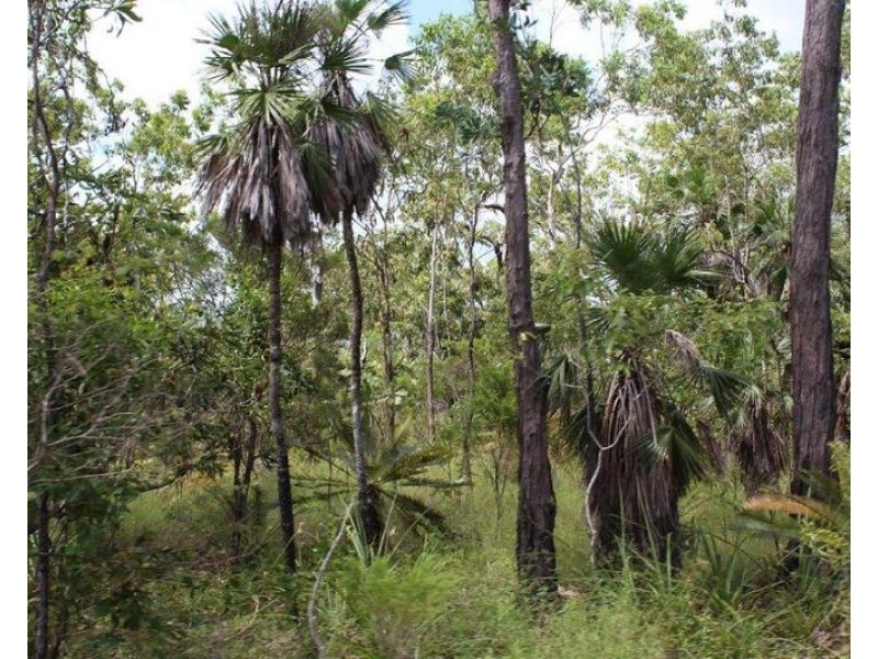 155 Serrata Road, Dundee Downs NT 0840