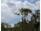 155 Serrata Road, Dundee Downs NT 0840