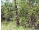 155 Serrata Road, Dundee Downs NT 0840