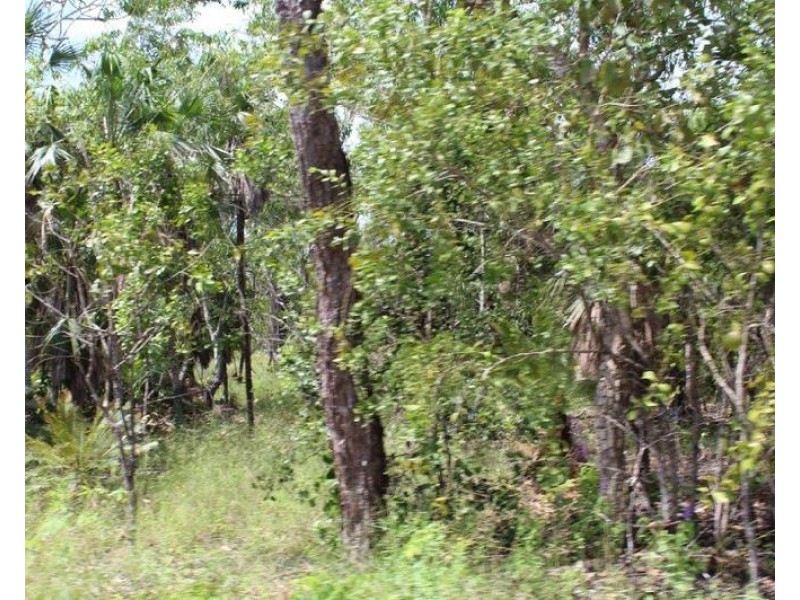 155 Serrata Road, Dundee Downs NT 0840