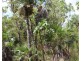 155 Serrata Road, Dundee Downs NT 0840