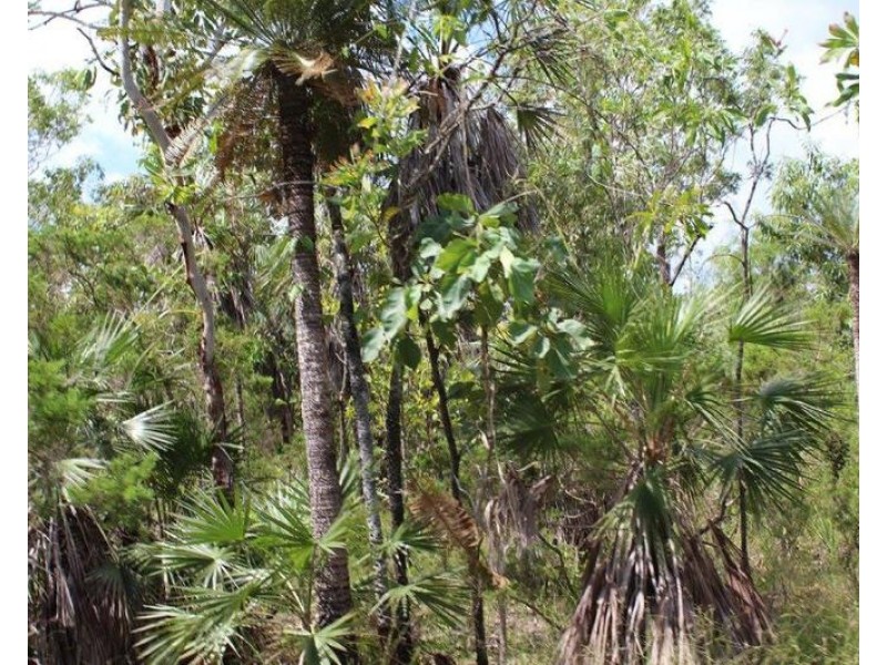 155 Serrata Road, Dundee Downs NT 0840