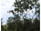 155 Serrata Road, Dundee Downs NT 0840