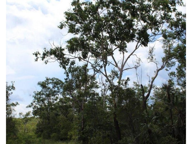 155 Serrata Road, Dundee Downs NT 0840