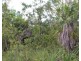155 Serrata Road, Dundee Downs NT 0840