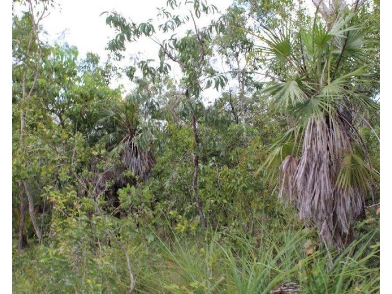 155 Serrata Road, Dundee Downs NT 0840