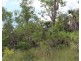155 Serrata Road, Dundee Downs NT 0840