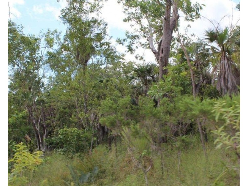 155 Serrata Road, Dundee Downs NT 0840