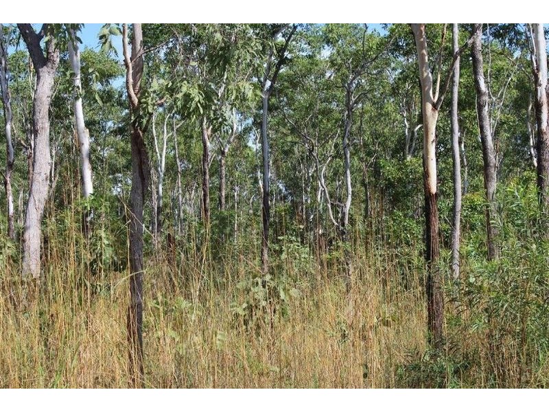 63 Gallacher Road, Girraween NT 0836