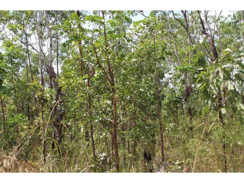 63 Gallacher Road, Girraween NT 0836