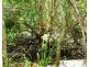 100 Weaver Road, Noonamah NT 0837