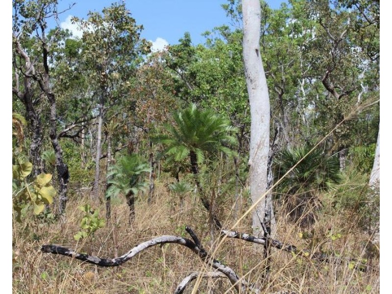 529 Owen Lagoon Road, Lake Bennett NT 0822