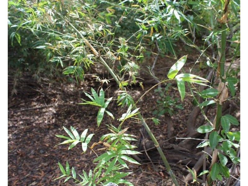 529 Owen Lagoon Road, Lake Bennett NT 0822