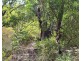 529 Owen Lagoon Road, Lake Bennett NT 0822