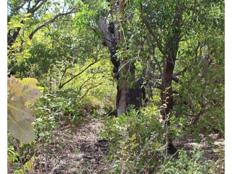 529 Owen Lagoon Road, Lake Bennett NT 0822