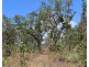 529 Owen Lagoon Road, Lake Bennett NT 0822