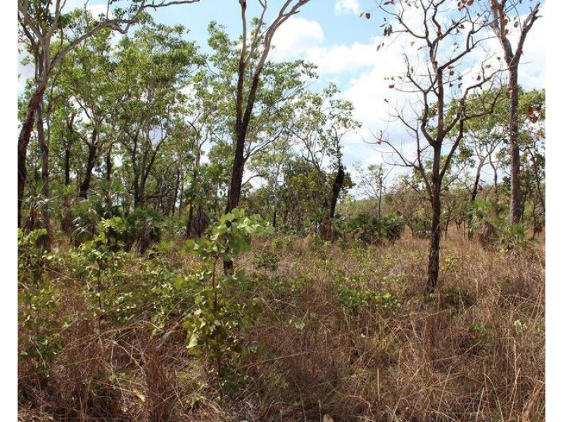 529 Owen Lagoon Road, Lake Bennett NT 0822