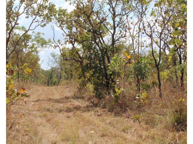 529 Owen Lagoon Road, Lake Bennett NT 0822