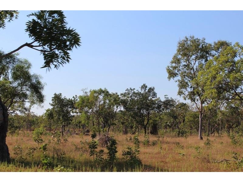 173 Coda Road, Dundee Downs NT 0840