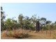 173 Coda Road, Dundee Downs NT 0840