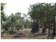173 Coda Road, Dundee Downs NT 0840