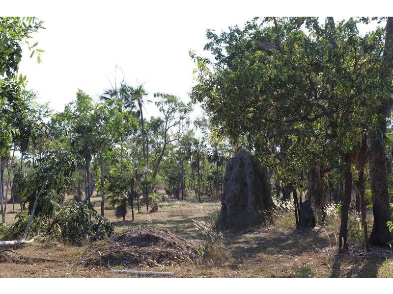 173 Coda Road, Dundee Downs NT 0840