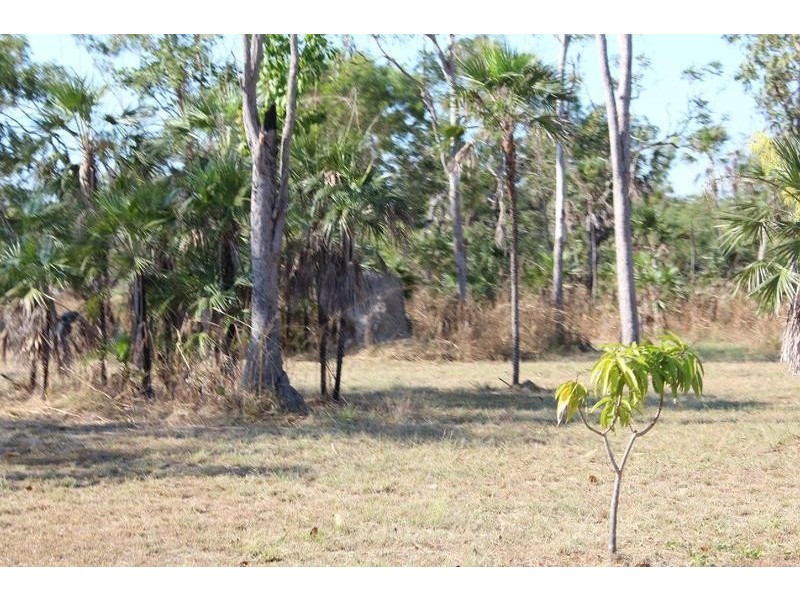 173 Coda Road, Dundee Downs NT 0840
