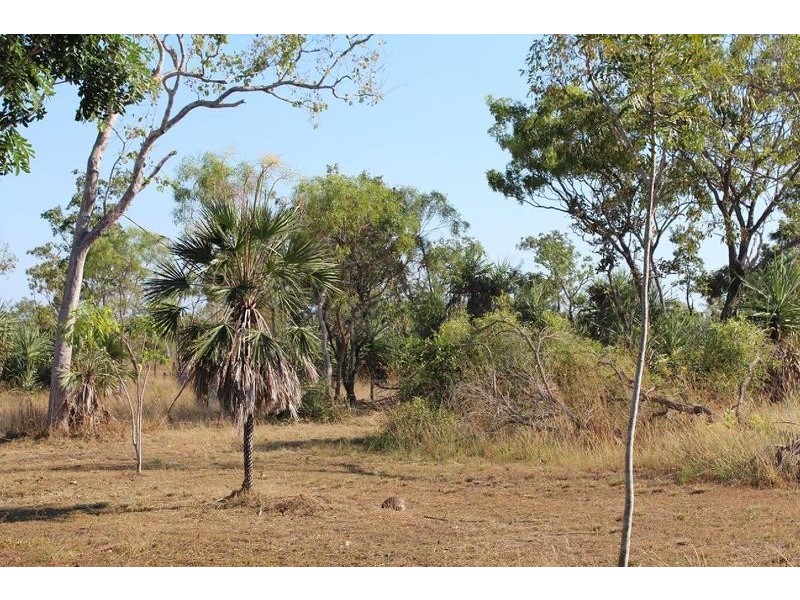 173 Coda Road, Dundee Downs NT 0840