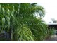 173 Coda Road, Dundee Downs NT 0840
