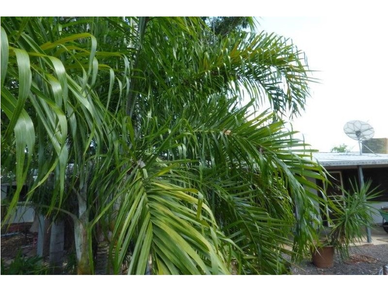 173 Coda Road, Dundee Downs NT 0840