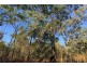 90 Monck Road, Acacia Hills NT 0822