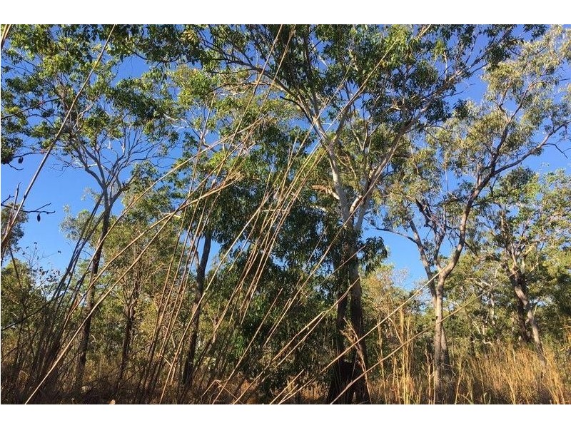 90 Monck Road, Acacia Hills NT 0822