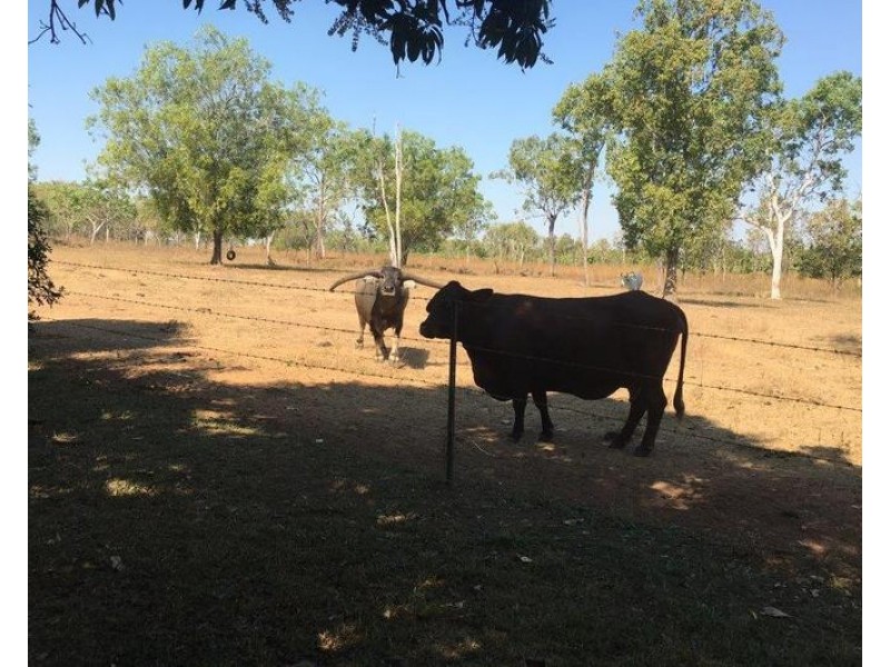 680 Miles Road, Batchelor NT 0845